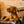 Load image into Gallery viewer, Dog Collar