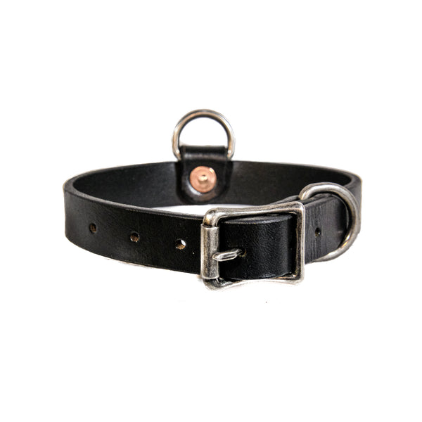 Dog Collar